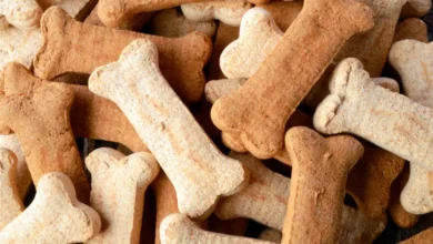Are Milk Bones Bad For Dogs