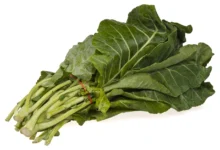 Can Dogs Eating Collard Greens