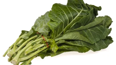 Can Dogs Eating Collard Greens