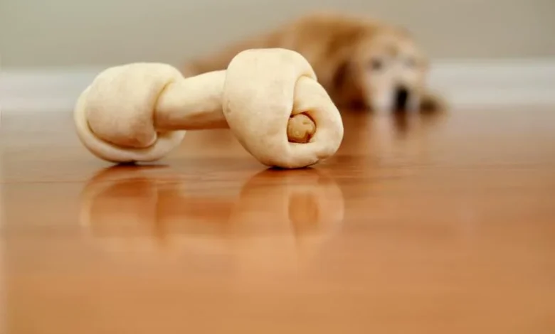Is Beef Hide Bad for Dogs