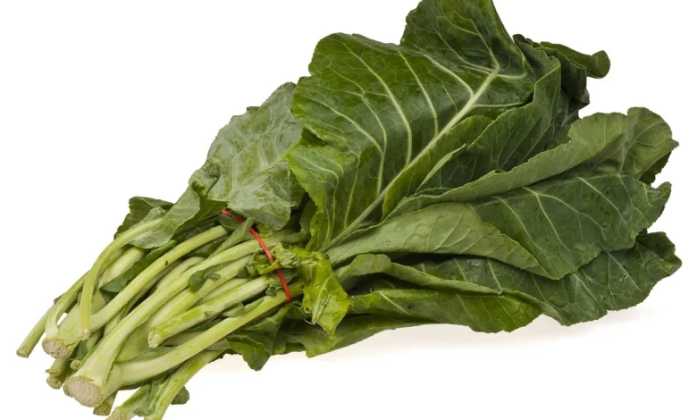 Can Dogs Eating Collard Greens